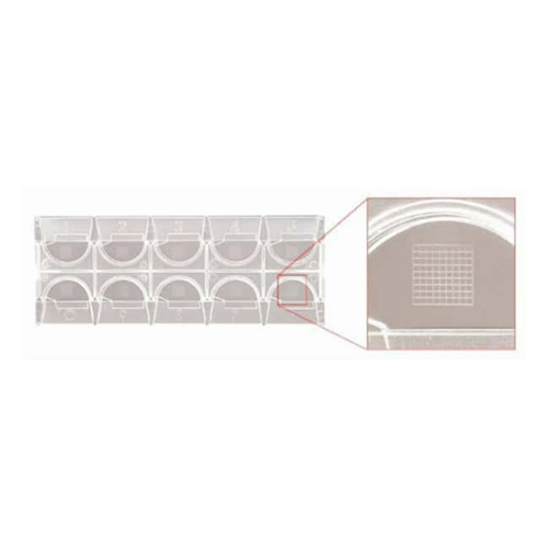 Microscope Slides